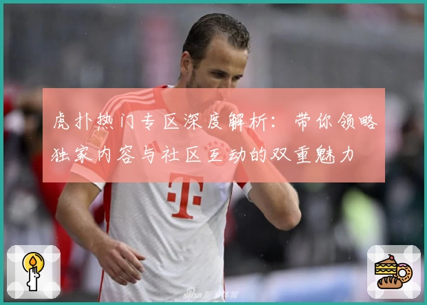 虎扑热门专区深度解析：带你领略独家内容与社区互动的双重魅力